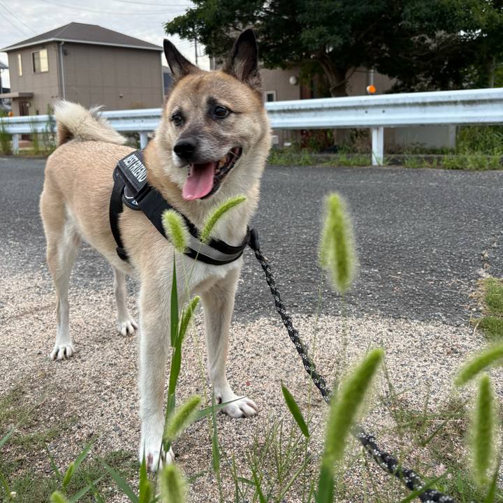 E0f1d90f 2054 4814 8fc7 da1d8e1143dd 1757502875195