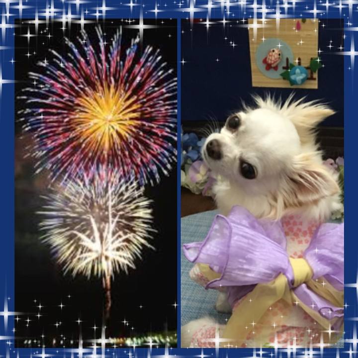 E0f1ed0b 94ed 4add bd52 6e0d0c0072a8 1533385897067