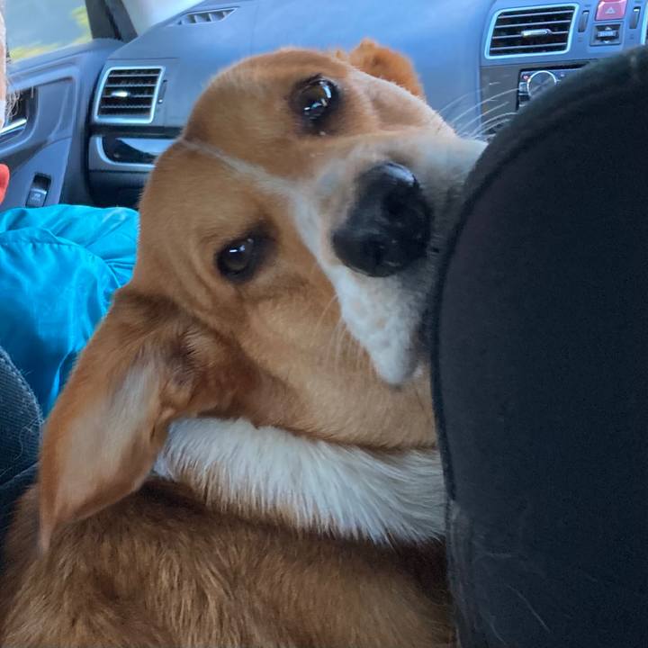 E0f1eec0 fccd 4c6a ae56 f757506bac35 1671497381567