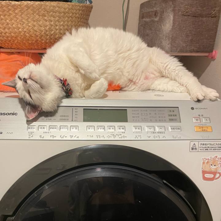 E0f2288f fce6 4da4 b899 6875338e1cba 1751284961734