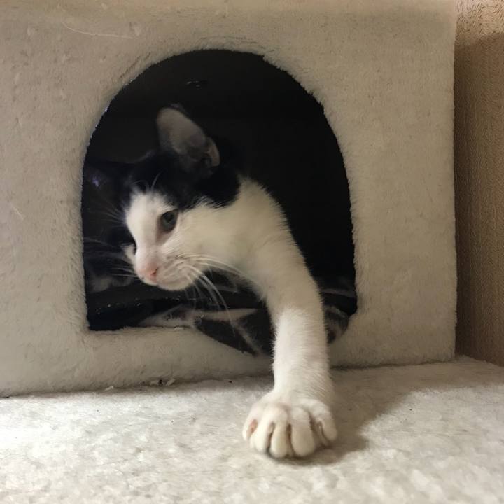 E0f24587 bd3f 4d3c aa44 561064be41b2 1511581476383