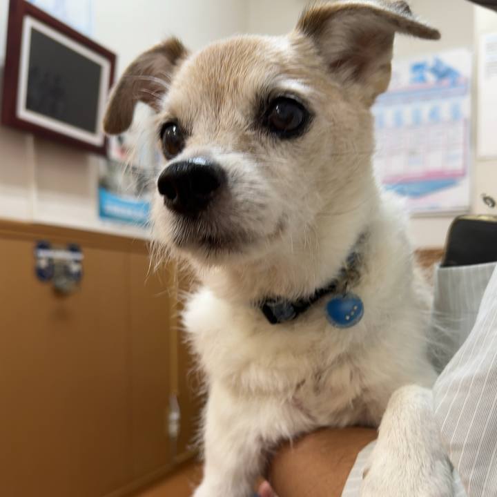 E0f256b9 c95e 4e00 821a 3a839018500b 1760776807644