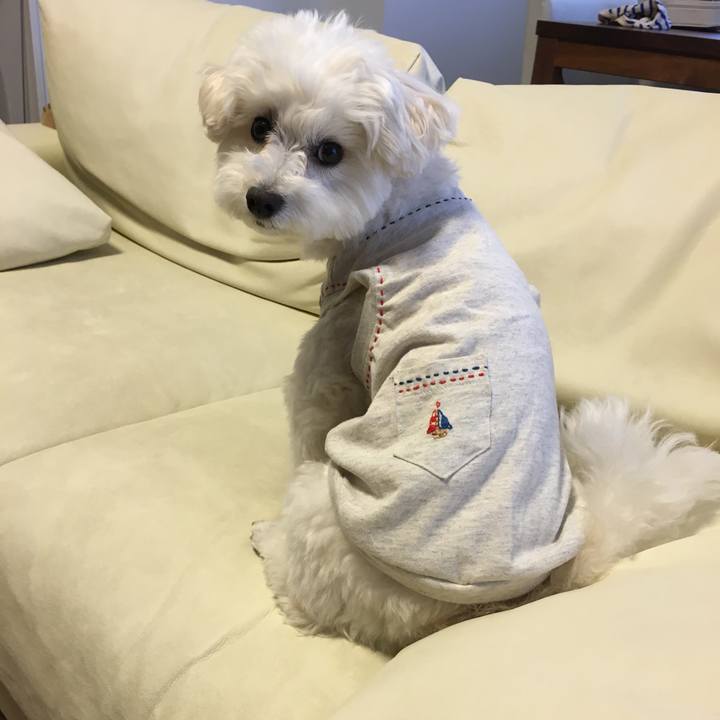 E0f2ceb9 d807 48c9 bc88 3bf1874ebf0c 1588228990219