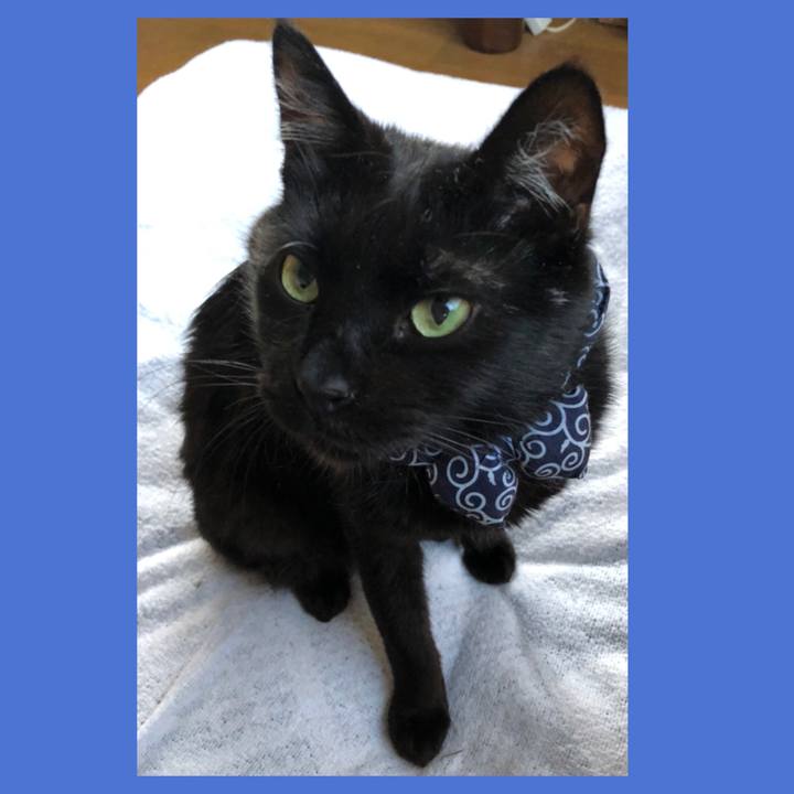 E0f2d97d f933 40c2 8cfc 242e10763e40 1555145885397