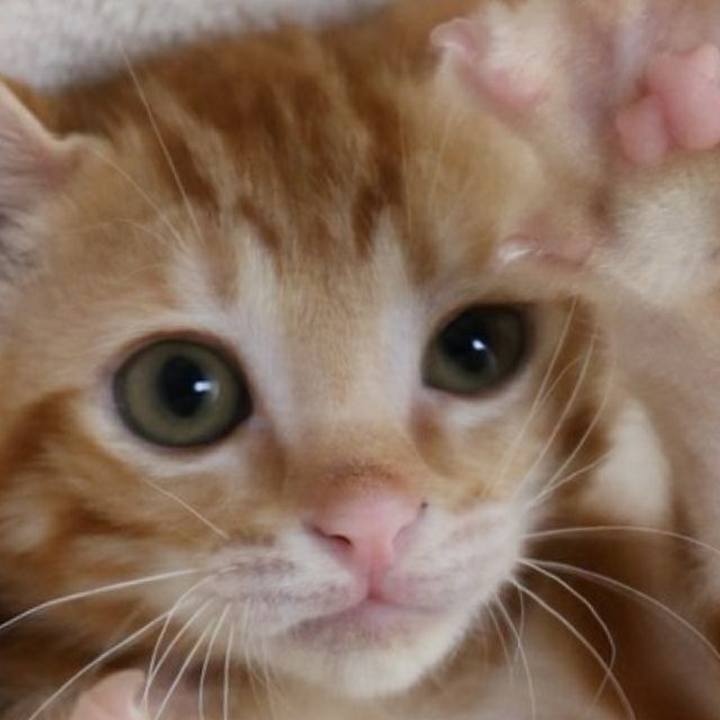 E0f30285 afd8 488e 868a 00d3000e98bb 1552603268058