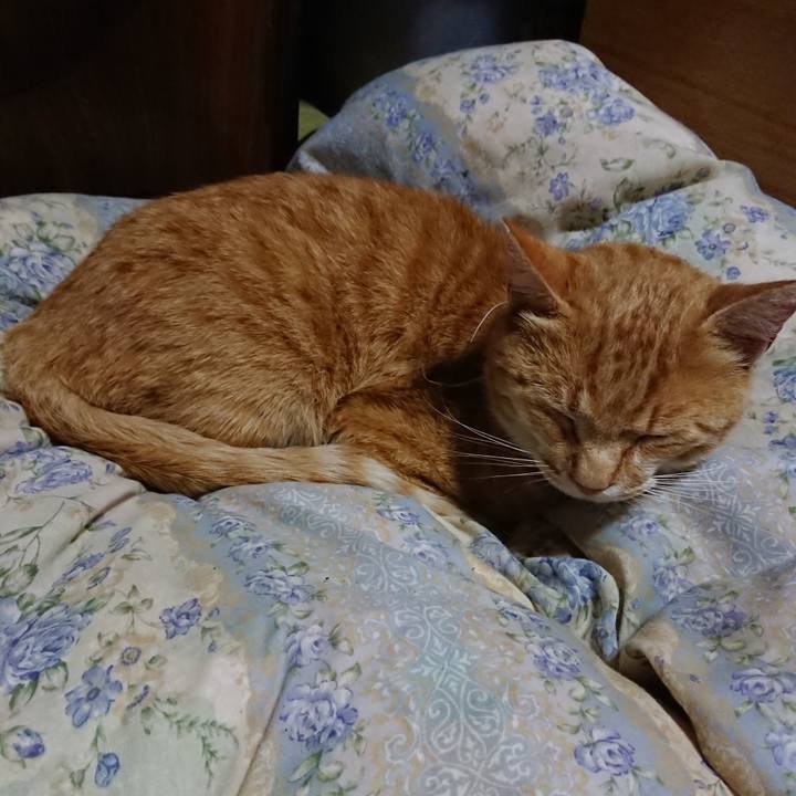 E0f32def 90d2 416e 88ef 8b2883b5dcbb 1590236007919