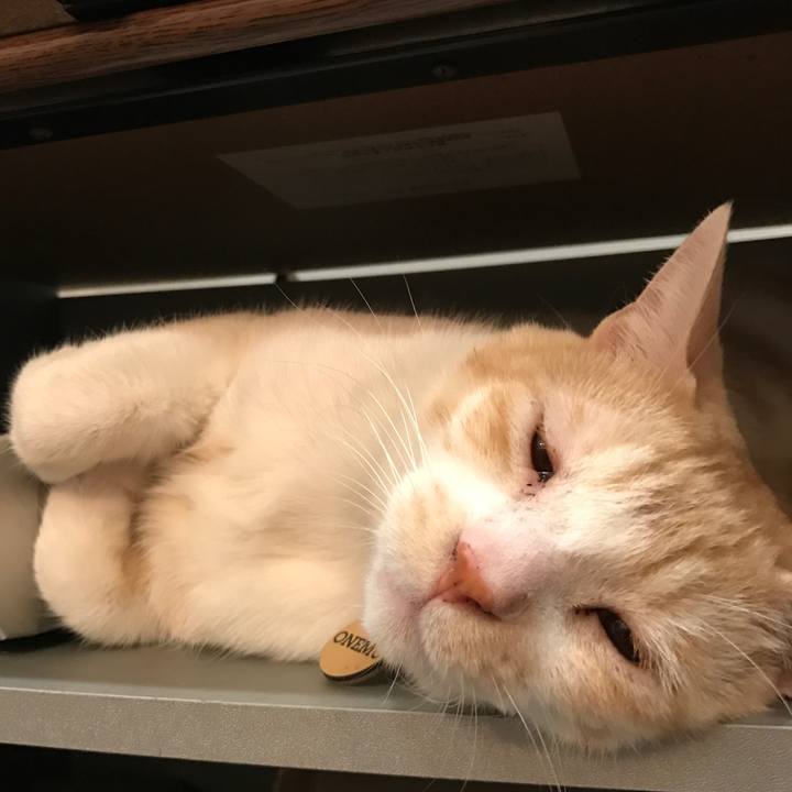 E0f338e1 5d00 4a20 a2b8 8c5e02d39ca4 1508940465934