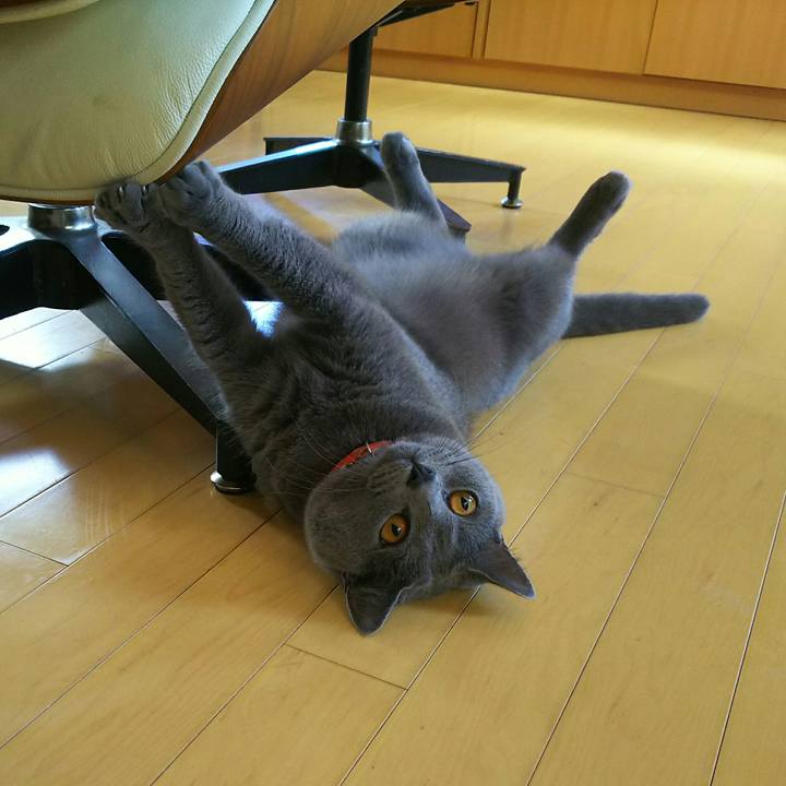 E0f35b05 d792 4068 9e08 e55aa9700b1b 1534842377702