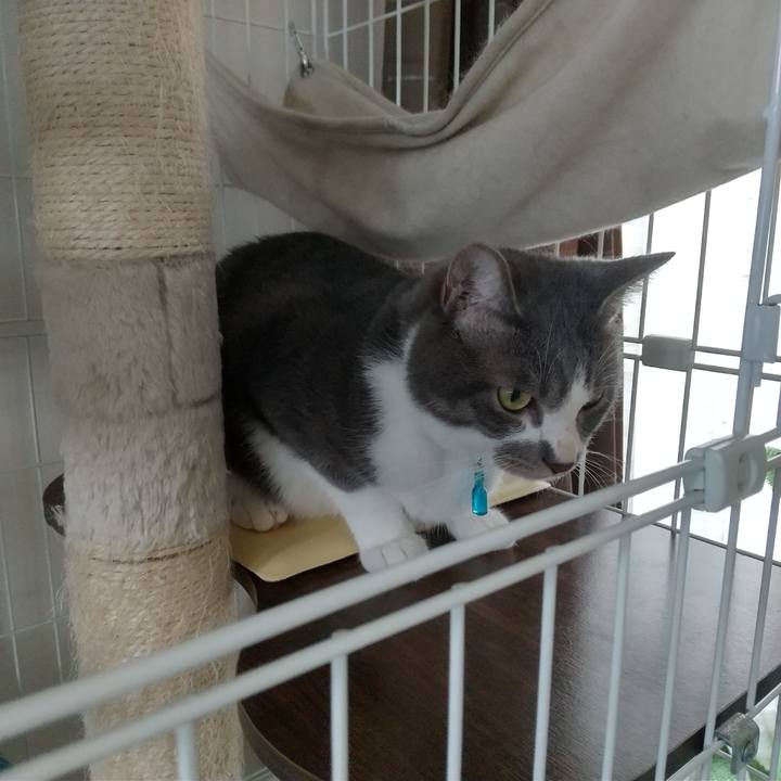 E0f382ba 8d26 47e6 b12b 3adb5fc5dc22 1624591537650