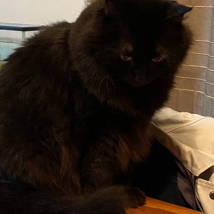 E0f38dc0 8b01 4711 9cc8 59dbf9bfb2c7 1601482199121