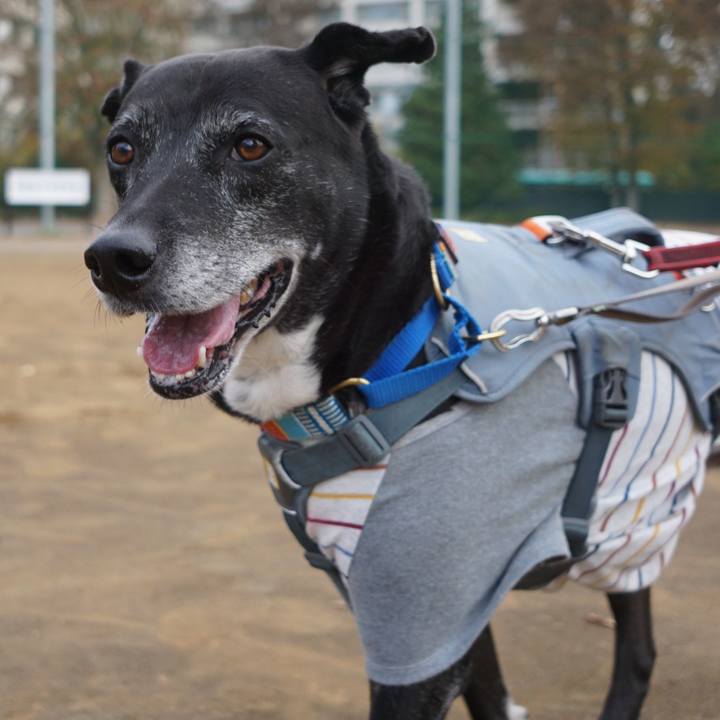 E0f3df53 8ff9 4a9c ad82 a8e9bb1dee0f 1764206214164