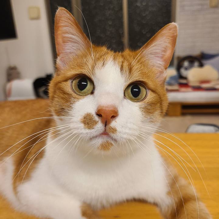 E0f3f993 4a4b 4734 9a4f cc21592af17c 1685193011195