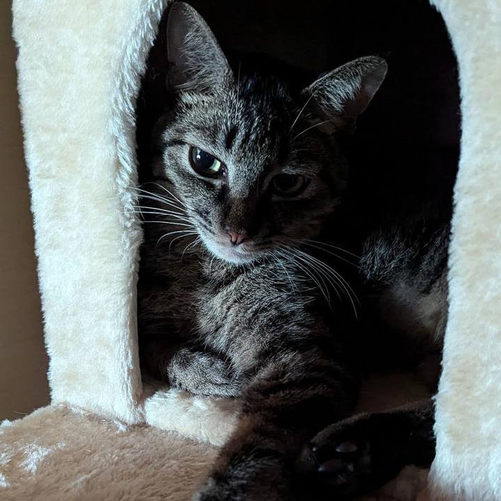 E0f3fdb1 9baa 4632 a454 aebd0f0c2f30 1725620152604