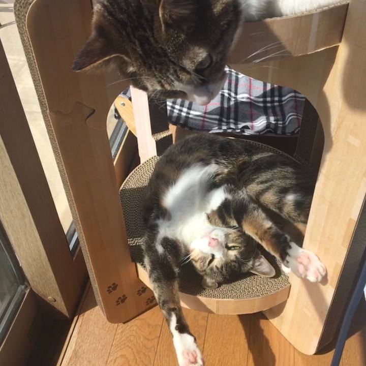 E0f4091b 6dee 4bb4 a0f1 3785ecf613cb 1681800622445