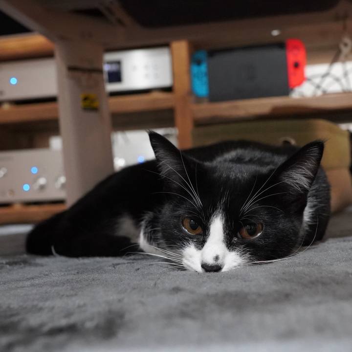 E0f431b2 1857 4e71 a35b 6a9a02597b5a 1583793301850