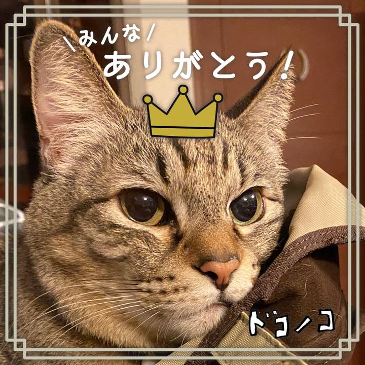 E0f441af b496 41c5 9743 99317c72723f 1622888065513