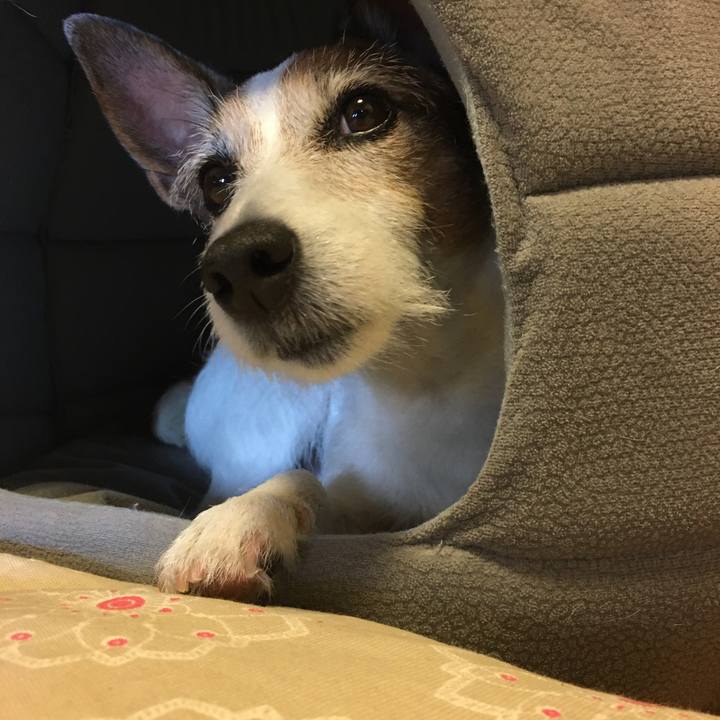 E0f46f0c 222e 4e49 ab73 1b29fd9e0f24 1621293612146