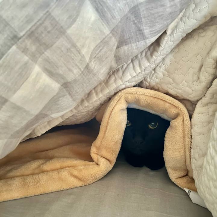 E0f48724 420d 44e1 a5b4 ac688fcab272 1735255444602