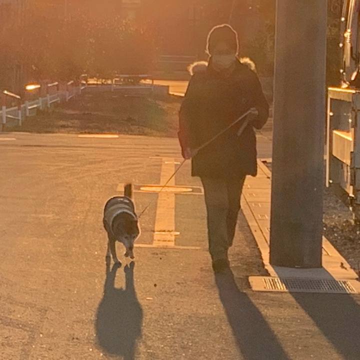 E0f49405 d3d0 4c0e 9584 f07936c51ccc 1737023000787