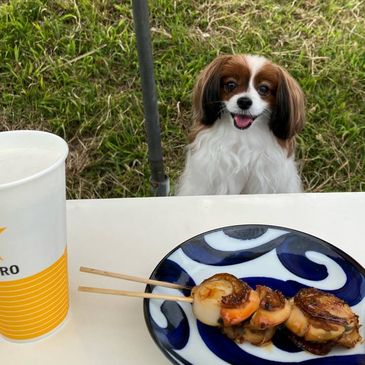 E0f496d7 c6ac 4305 a73d 0bacaef809a2 1750645213848