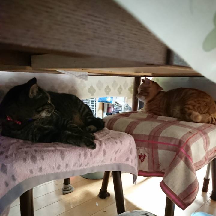 E0f498d9 b1d1 4cad 994a d17d025a4326 1640427365369