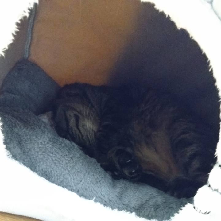 E0f4b33c a2ed 43a0 aa63 def78bebd05a 1762693897880