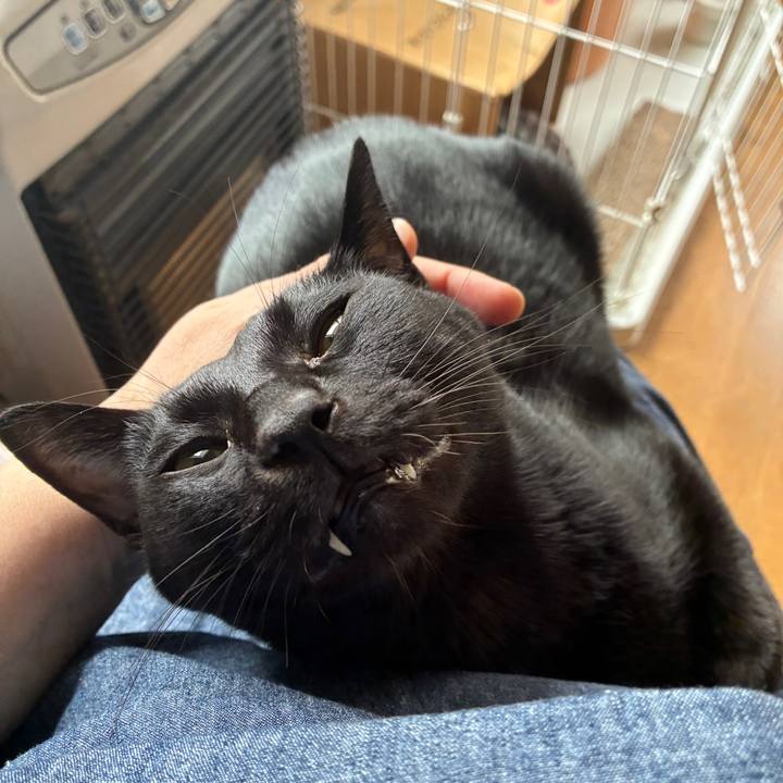 E0f4d8ea 1b9a 4402 b760 d707afb5b6d5 1762050662780