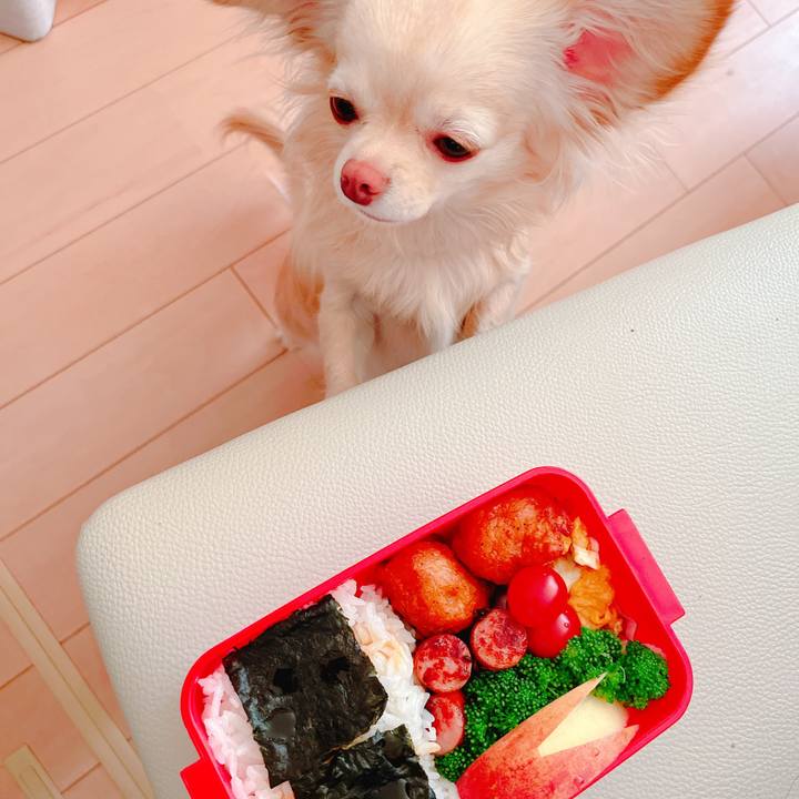 E0f4f879 e09d 48af 8580 fbc80630d8a2 1648076360073