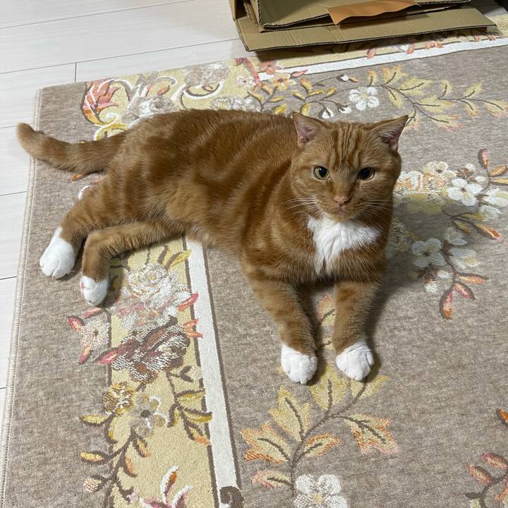 E0f4fddd feb8 4124 940a 16b79873fd61 1623495300343