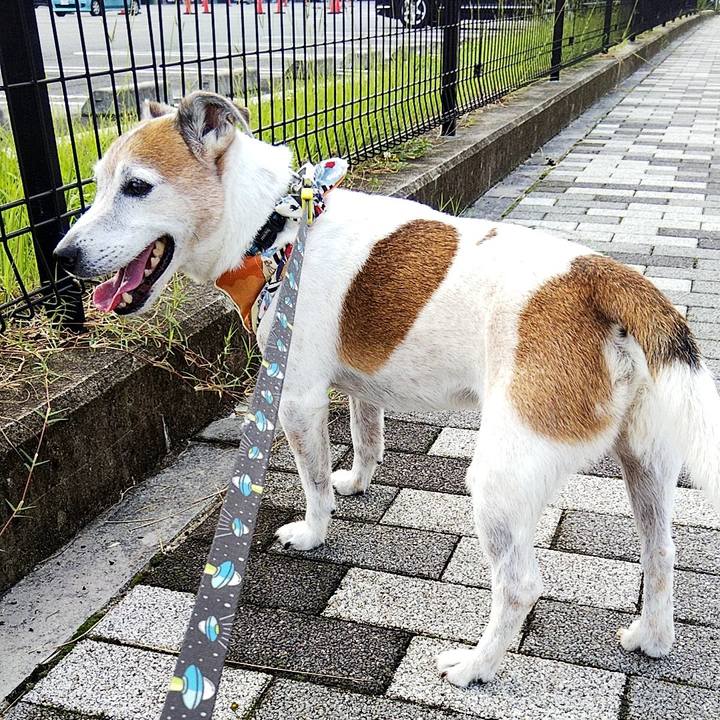 E0f51468 e63e 4477 b043 4ae71bf38c98 1564272416566