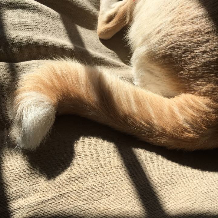 E0f51d49 54fd 48a6 a73b 286db9adb279 1514636224722