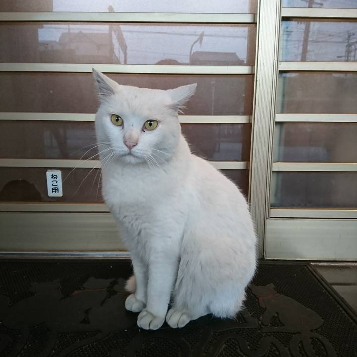 E0f52e7c 72b4 44e8 86b7 9f7c7e96a099 1528276721091