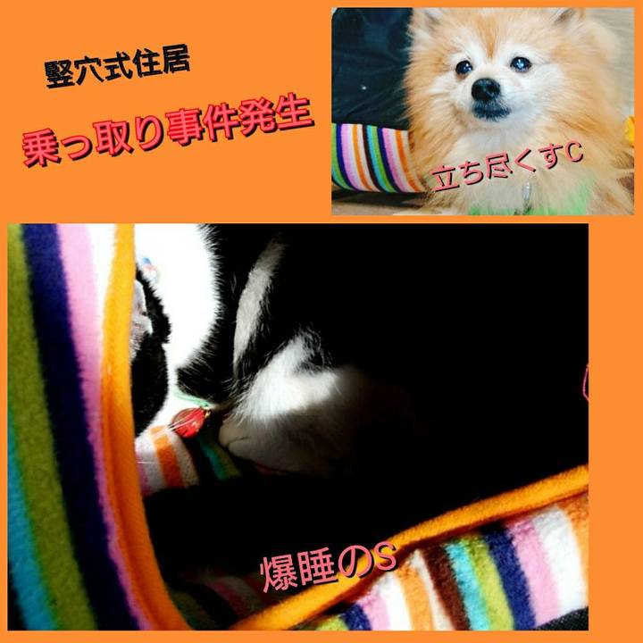 E0f53e90 241f 4c3b bbcc 9dea76d162c8 1584529614776