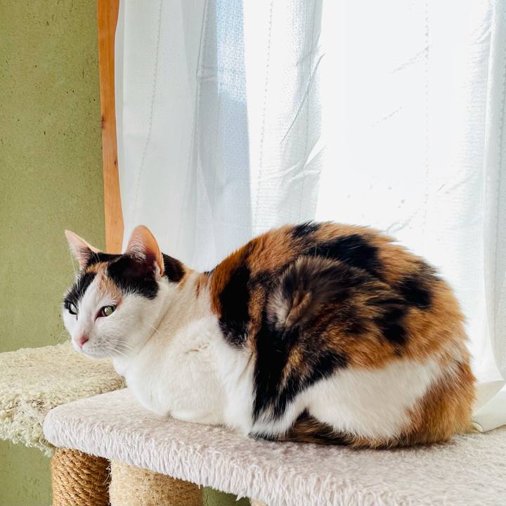 E0f53f51 22cd 4d5f b0e6 af17ba466ea6 1616118679757