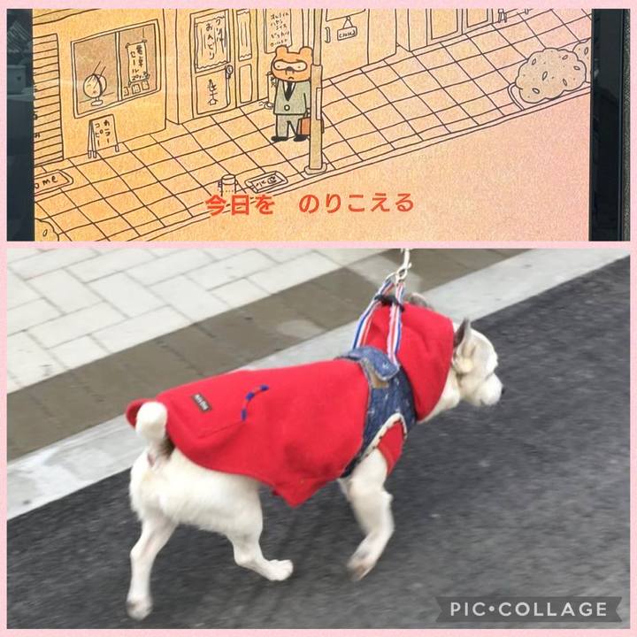 E0f5741d 6233 4395 9635 c6d633135971 1772143208693