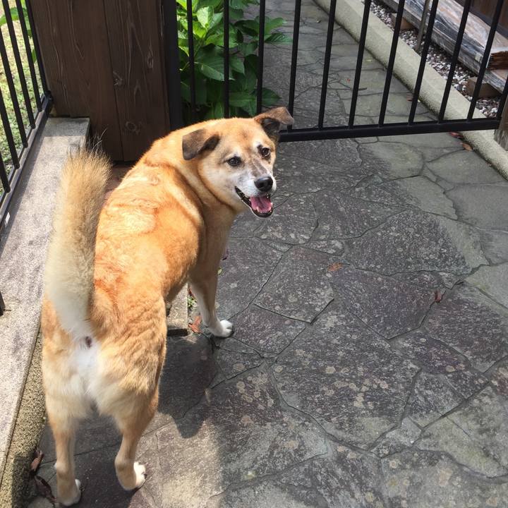 E0f579dd 3501 4ec1 a4f5 8ddeca20abe0 1564287996505