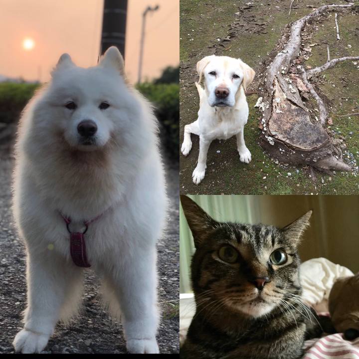 E0f588ff 81ad 4eeb b69a 8de98729bfdf 1563016621559