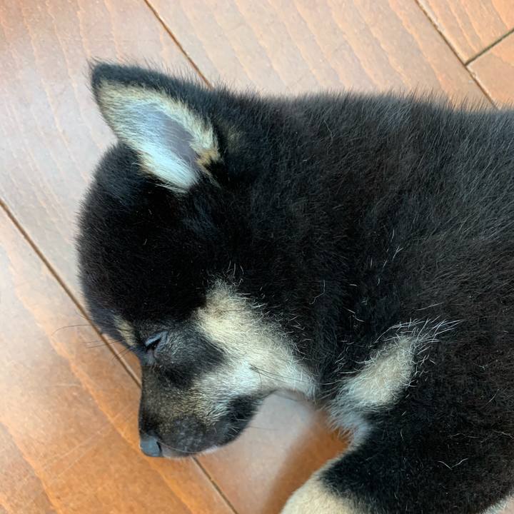 E0f5f7ab 2e1e 46ef b64e 104caeeff104 1598323146436