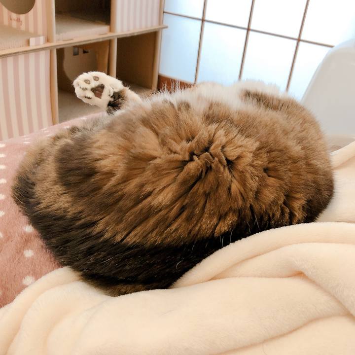 E0f5fef3 fb82 440e b802 f0002683f8a9 1605508719898