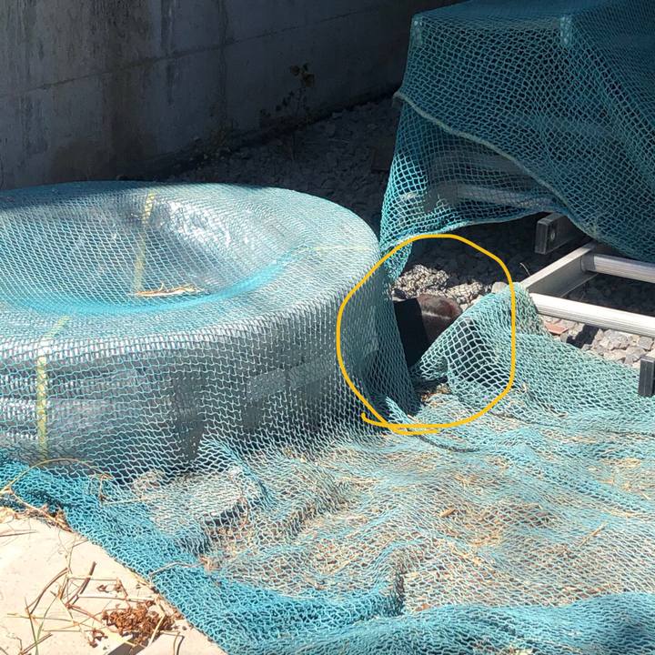 E0f601b7 95b4 4499 b23f 7c7ced1b54fb 1585410519389