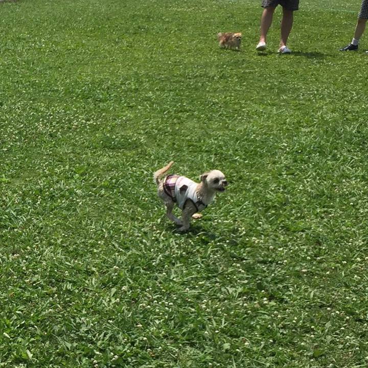 E0f60238 21ab 4071 9620 c01dc60f37a1 1531644484103