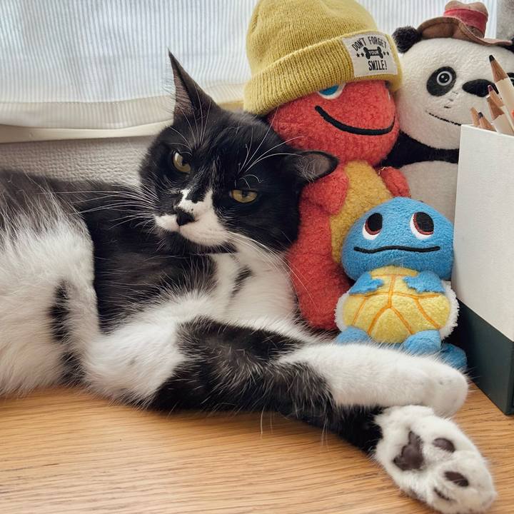 E0f609dd d57b 485c a700 631ea6ef7122 1757480074777