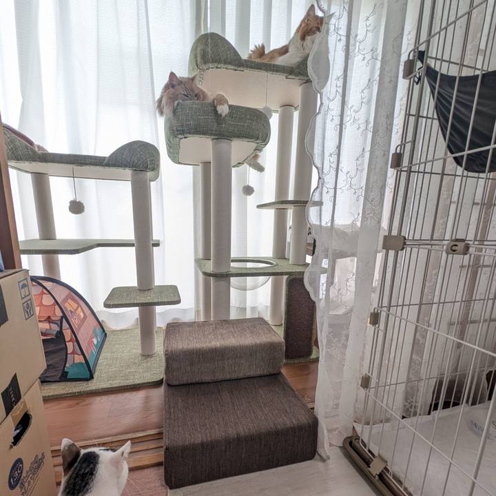 E0f60fb6 a6dd 46dd 9765 6694f79533df 1760314133941