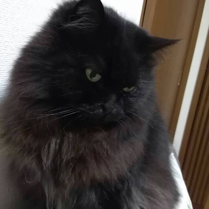 E0f64994 f07c 4dc0 91a9 a7971cfd6543 1518315211537