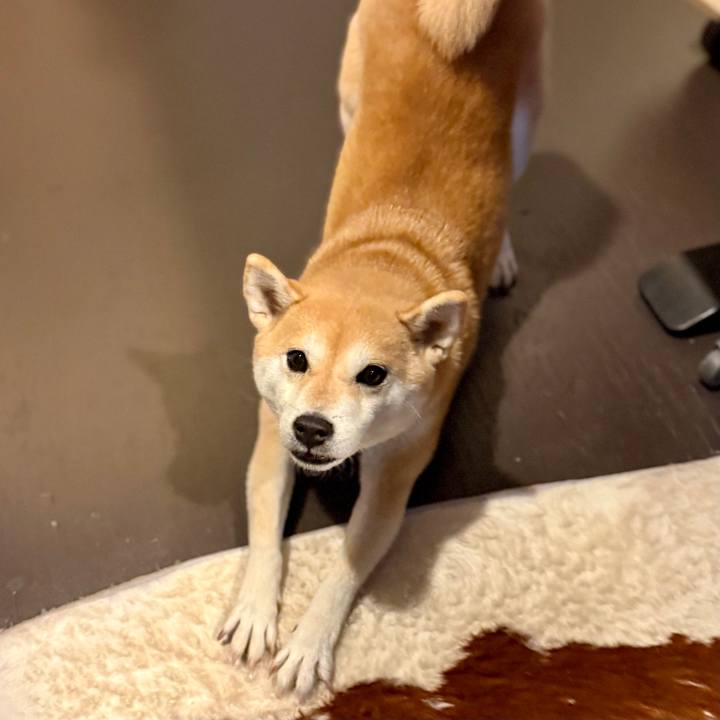 E0f66c50 9d7f 47c5 9e3d 8ff779689cef 1761705610860