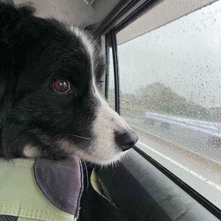 E0f683cc 8cdc 4e4a ad70 8c2e175f5a60 1679090864983