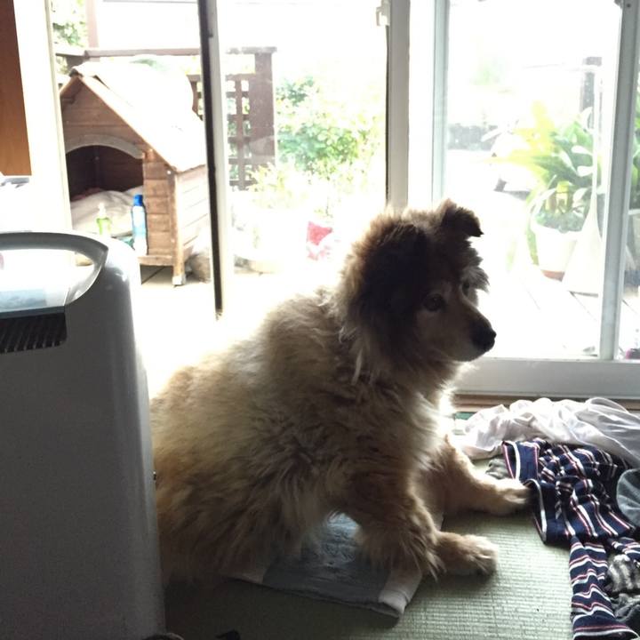 E0f6c32e 2c7c 46f4 8733 f77aed4156dc 1647067729862