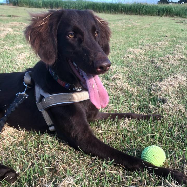 E0f6c7f2 af2c 4506 8657 0e2c53c85daf 1565042602455