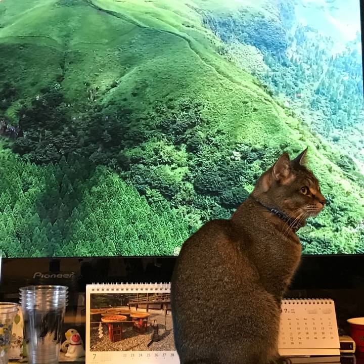 E0f6f657 edbf 481e bd9f 9df485c41bf9 1532593750317