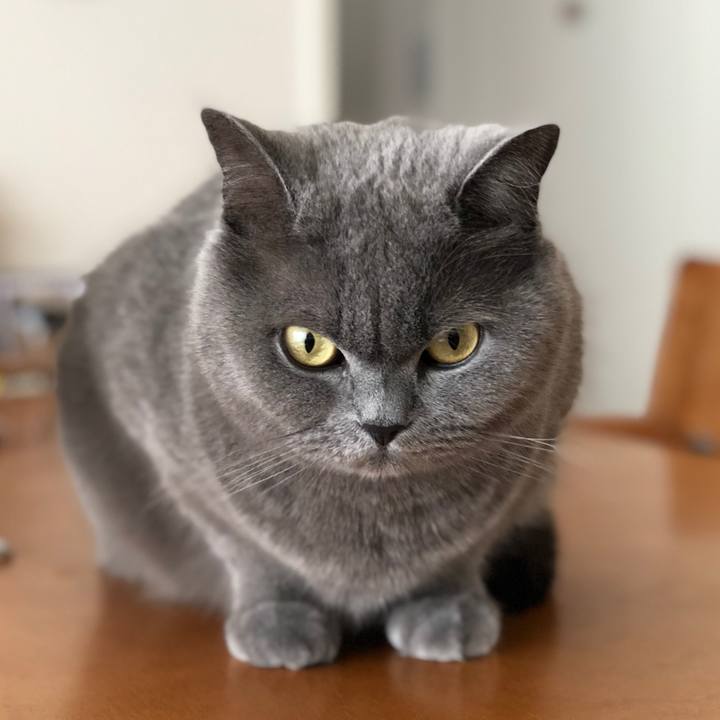 E0f705f9 7f47 414d 8a97 9f7338d629cb 1523687541476